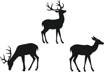 Three silhouette deer poses isolated on white background for wildlife design