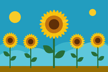 sunflowers stretching toward the sun