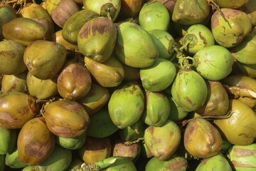 fresh tender coconuts, naturally sweet water and tender, soft meat