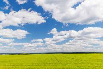 Wide green field under a sunny sky with scattered white clouds