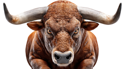 Majestic Bull's Gaze: A powerful bull stands poised, its intense eyes and formidable horns conveying strength and determination. A symbol of resilience.
