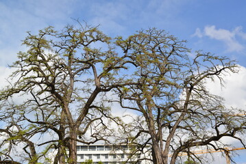Stuttgart_020