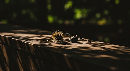 Autumn's gentle touch is reflected in this decaying chestnut, delicately poised on aged wood, shadowed by dappled light that speaks of nature's transient beauty.