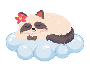 Peaceful Raccoon Sleeping Soundly on Cloud