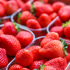 Fresh, vibrant red strawberries are neatly packed in clear plastic containers, highlighting their...