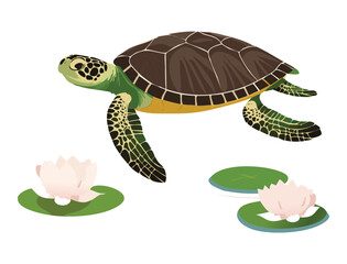 Turtle Walking by Water with Lily Pads