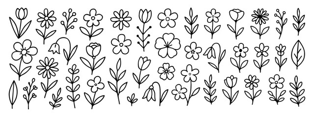 Collection of hand drawn floral elements in black