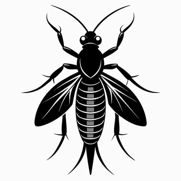 Silhouette of a dobsonfly with prominent large mandibles isolated on white background