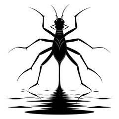 Silhouette of a water strider insect on the surface of water viewed from above isolated on white background