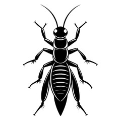 Black silhouette of an earwig with visible pincers isolated on white background