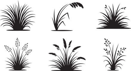 Vector art of six black grass silhouettes on a white background