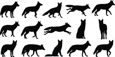 Collection of fox silhouettes in various poses, standing, walking, running and sitting wild foxes, perfect vector animal design