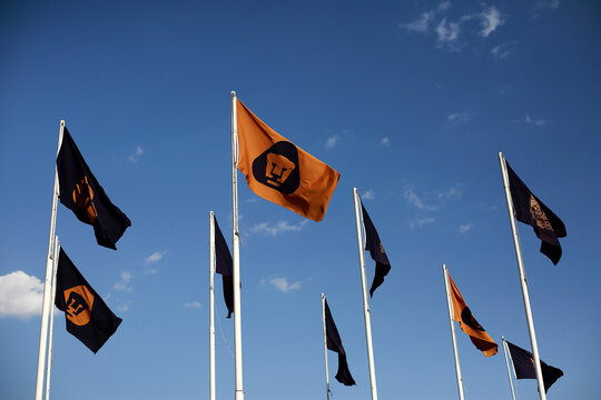 Ciudad de Mexico, Mexico - March 8. 2025: UNAM and Pumas team flags flying