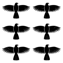 Obraz premium Black silhouette birds flying in formation wings spread