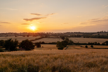 The sun setting over rolling fields and hedgerows in the English countryside, casting a warm golden...