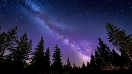 Milky Way stretches across night sky above silhouette pine forest. AI generated