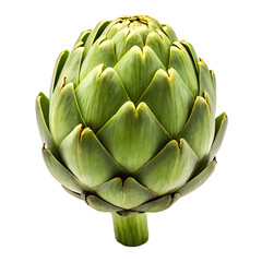 Obraz premium Fresh green artichoke with thick stem isolated on transparent background