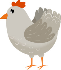 Fluffed-up chicken feathers