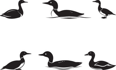 Duck or loon silhouette vector art, Duck or loon vector icon design, Vector illustration of Duck or loon set