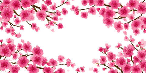 Fototapeta premium Pink Cherry Blossoms Frame on Transparent Background, PNG