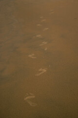 Footprints on Wet Sand at Dusk