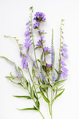 Wildflower bouquet, purple flower, botanical collection, minimalism