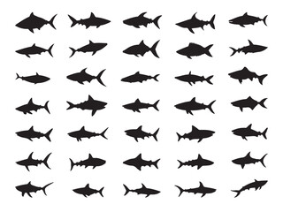 Fototapeta premium Variety of Shark and Fish Silhouettes