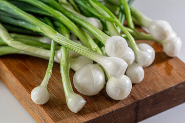Fresh spring onion, green onion, scallion, organic vegetable, kitchen ingredient
