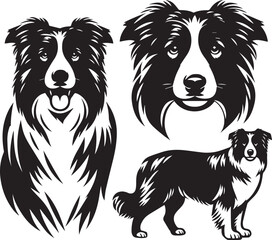 Border Collie Dog Vector – Silhouette 