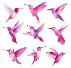 Obraz premium Watercolor hummingbird artwork, red isolated backdrop