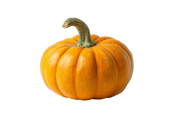 Fototapeta premium Single ripe orange pumpkin isolated on black background
