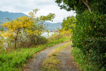 海に続く田舎道