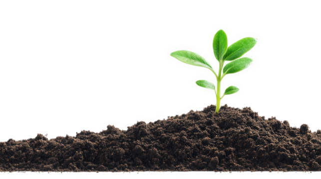 Pile of Soil Isolated on Transparent Background