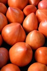 Tomates cœur de bœuf 2