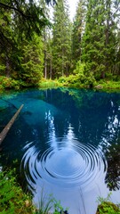Tranquil forest pool with ripples
