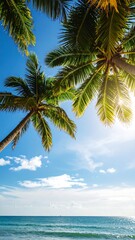 Fototapeta na wymiar Tropical palm trees, bright sun, clear sky, ocean waves