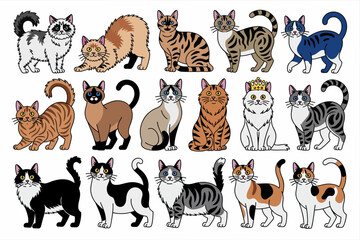Fototapeta premium Illustration of fifteen diverse cartoon cats in various poses, showcasing different colors, patterns, and breeds against a white background.