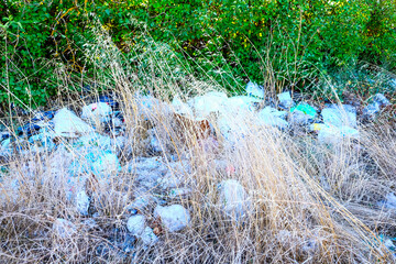 Discarded plastic bags and rubbish litter a dry grassy area with green bushes in the background, highlighting environmental pollution.