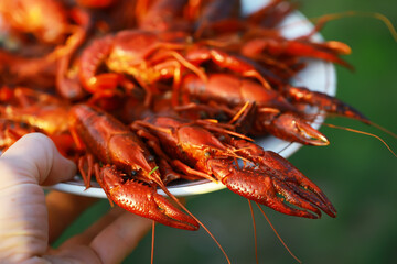Freshly Cooked Red Crawfish Platter Held Outdoors in Natural Light