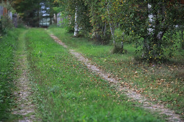 Tranquil Rural Dirt Pathway through Lush Green Forest Trees in Autumn