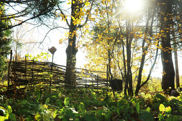 city park without people on an autumn day, bright rays of the sun shine through the crowns of maple...