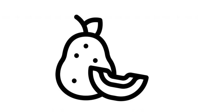 chinese white pear minimalist line animation