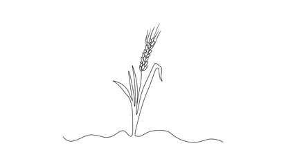 Fototapeta premium wheat plant vector illustration