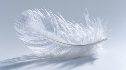 Delicate feather falling on soft surface minimalist studio photography calm environment close-up perspective