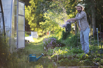 Man farmer watering a vegetable garden