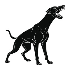 A black dog standing and growling with mouth open showing teeth