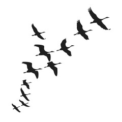 Silhouette of birds flying in formation against white sky