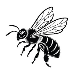 A black and white graphic illustration of a honey bee