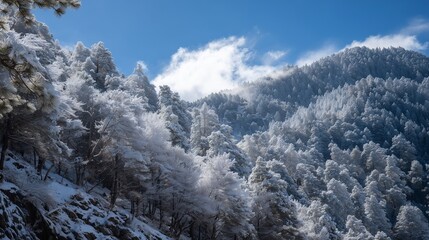 **Snow on mountain with greenery themes like trees, layers of fresh snow dusting pine-covered slopes under a clear blue sky