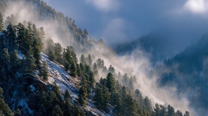 **Snow on mountain with greenery themes like trees, lush evergreen forest climbing up a snow-covered mountain slope with crisp atmospheric lighting